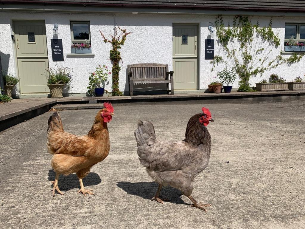 The Old Dairy At Walkmill Farm Villa Bushmills Exterior foto